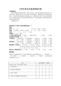 大学生职业价值观问卷