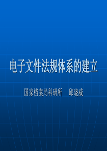 电子文件法规体系的建立2007[1].8.11