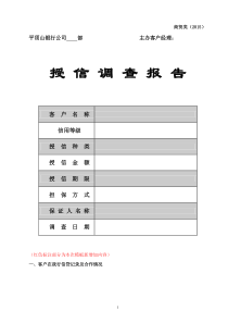 信贷调查报告(商贸类)