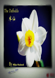 英语诗歌The-Daffodils-[水仙]William-Wordsworth2