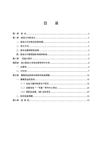 ××电信网络股份有限公司商业计划书(1)