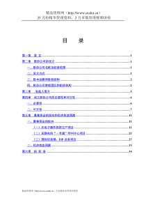 ××电信网络股份有限公司商业计划书(doc35)