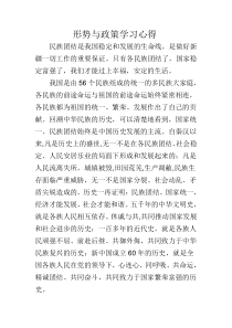 新疆形势与政策学习心得