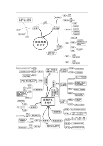 2020最新课标高中生物全套思维导图