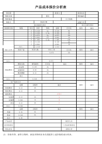 成本分析表-产品报价-