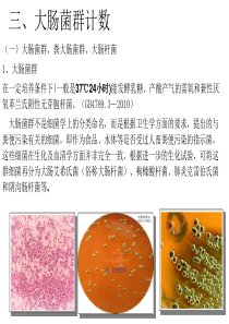 7-3第七章食品微生物检验-大肠菌群、粪大肠菌群、大肠埃希氏菌计数