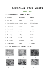 译林版六年级上册英语期中试卷及答案