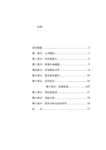 《凯博尔电暖画商业计划书》（DOC43页）