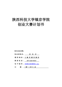 《创业计划书范文Word模板》