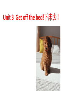 新概念青少年版入门级B课件UNIT-3--GET-OFF-THE-BED