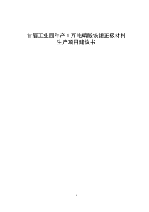 年产1万吨磷酸铁锂正极材料生产项目