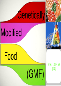 genetic-modified-food-转基因食物英语报告