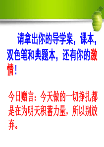 生态系统的能量流动公开课课件