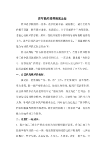 青年教师培养情况总结