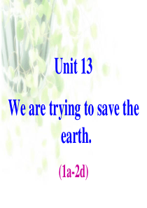 Unit-13-Were-trying-to-save-the-earth-!-课件