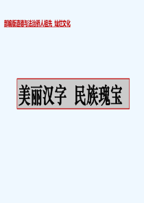 人教部编版五上8道德与法治.美丽文字民族瑰宝课件含教案视频4个