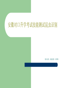 安徽对口升学考试技能测试昆虫识别共225页