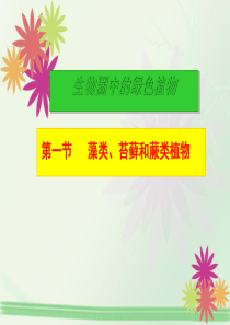 藻类、苔藓和蕨类植物PPT课件21