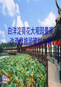 荷花大观园景观改造.ppt