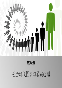 第八章-社会环境因素与消费心理