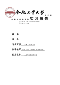 合肥工业大学土木工程材料与结构检测实习报告