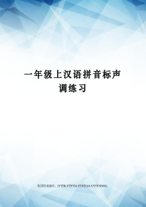 一年级上汉语拼音标声调练习修订稿