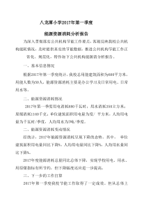 能源资源消耗统计分析报告