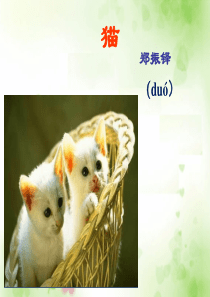 《猫》ppt课件