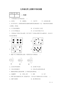 九年级化学上册期中试卷含答案