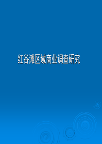 南昌市红谷滩区域商业调查报告