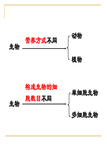 2.6-物种的多样性1