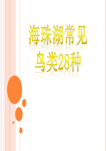 2017广东省广州市海珠湖常见鸟类28种