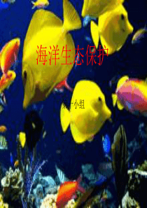 海洋生态保护ppt课件