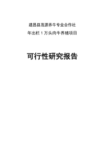 2019年出栏万头优质肉牛养殖建设项目可行研究报告.doc