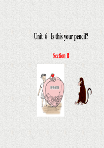 鲁教版英语六上Unit-6《Is-this-your-pencil》(Section-B)ppt课件