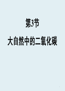 6.3《大自然中的二氧化碳》(1)