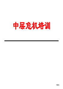 中层危机培训（PPT 51页）