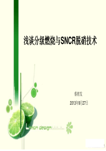 浅谈分级燃烧与SNCR脱硝(芜湖海螺)..