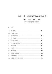 汉中一零一航空电子设备有限公司审计报告