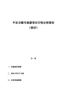 某旅游项目可行性分析报告