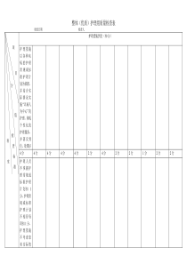 整体(优质)护理组质量检查表