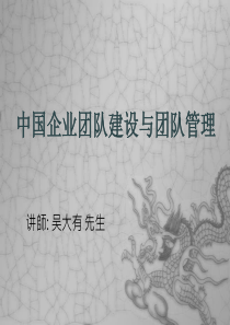 中国企业团队建设与团队管理【吴大有】