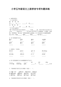 小学五年级语文上册拼音专项专题训练