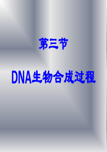 DNA生物合成过程课件