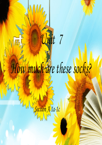 How-much-are-these-socks-公开课课件