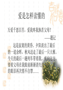 巧用小标题结构作文(公开课)