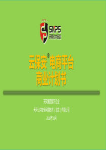 云保安电商平台商业计划书（PDF35页）