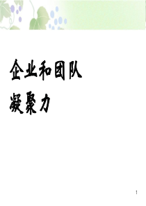 企业和团队凝聚力