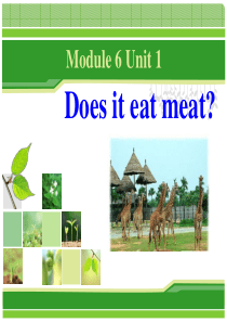 《Does-it-eat-meat》PPT精选教学课件