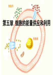 酶的作用和本质课件